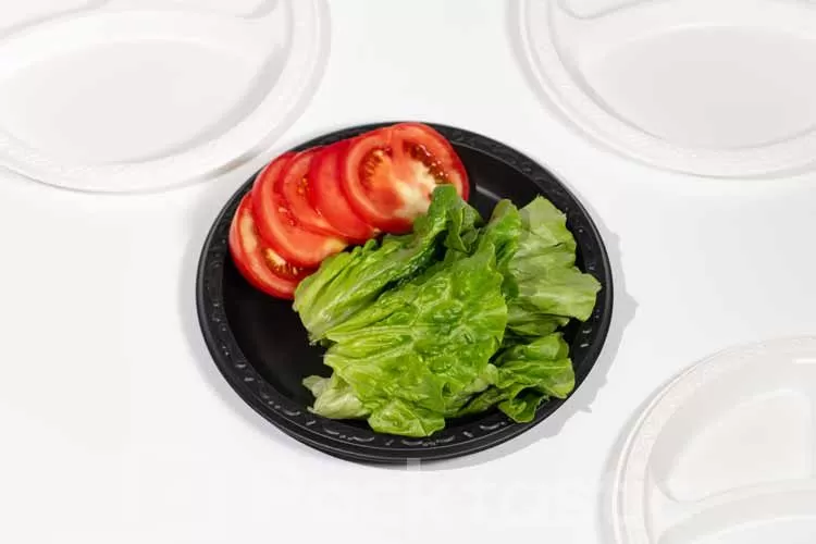Takeaway & Microwave Safe Food Containers for Restaurants