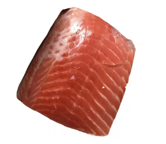 EVOH High-Barrier Shrink Bags for Meat, Poultry, Tuna and Cheese